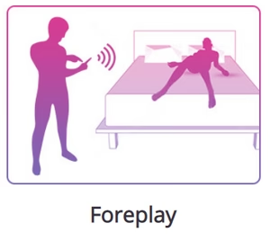 Lovense Ferri bluetooth enabled  panty vibrator