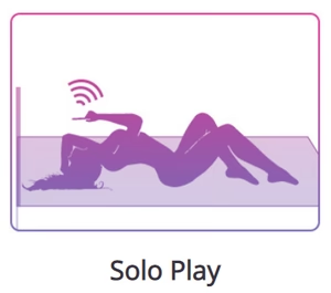 Lovense Ferri bluetooth enabled  panty vibrator