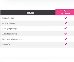 Lovense Ferri bluetooth enabled  panty vibrator